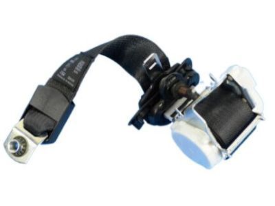 Jeep 1UU52LC5AD Outer Belt Assembly