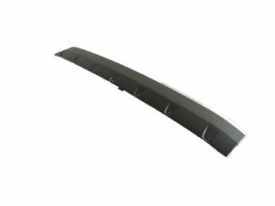 Jeep 5QZ56XS9AC Lower Molding