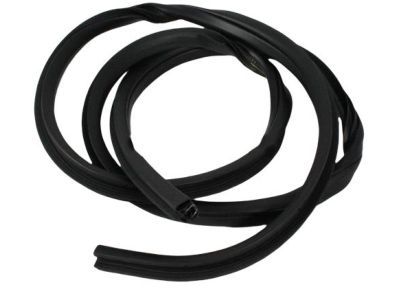 Dodge 55275608AE WEATHERSTRIP Door Opening Rear