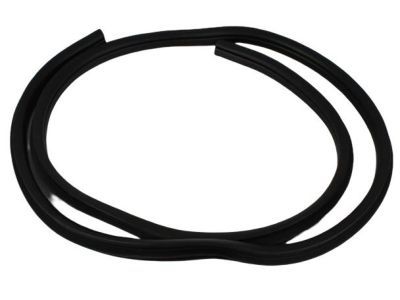 Dodge 55275608AE WEATHERSTRIP Door Opening Rear