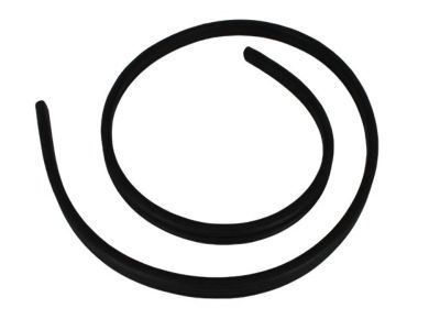 Jeep 55369015AF WEATHERSTRIP Liftgate Glass