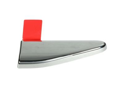 2021 Ram 1500 Door Moldings - 5ZH31SZ0AA