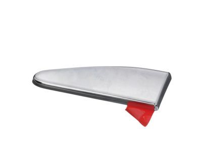 2021 Ram 1500 Door Moldings - 5ZH31SZ0AA