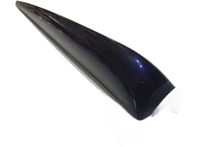 RV16DX8AB Mopar Molding Front Door Product Photo 4 of 7