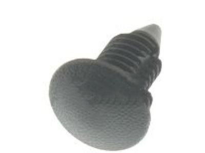 Dodge 6510160AA Lamp Cover Pin