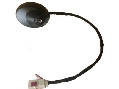 Jeep Antenna - 5064252AD