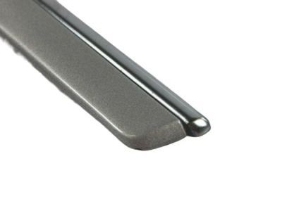 2007 Dodge Magnum Door Moldings - WG21WS2AC