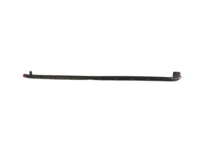 Chrysler Voyager Door Seal - 68188722AD