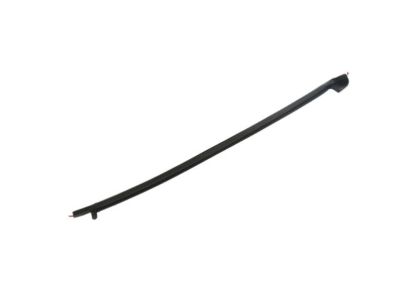 Chrysler Voyager Door Seal - 68188722AD