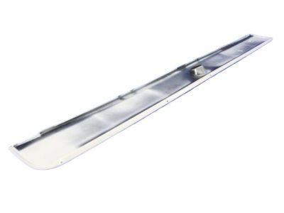 Ram 1PE001W7AB Applique Panel