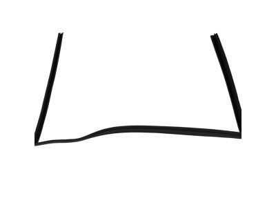Mopar 68040039AC Running Front Door Glass