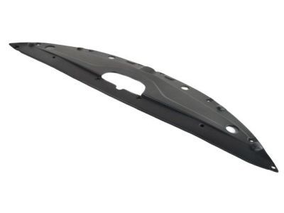 Mopar 68110455AD Sight Shield, Front