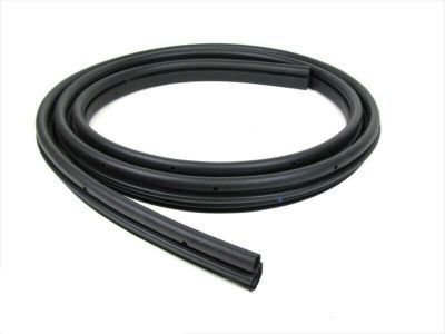 Jeep 55394040AG Body Weatherstrip
