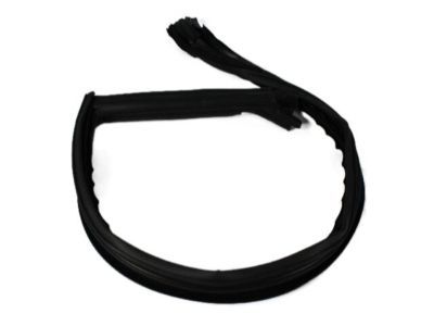 Dodge 4575891AD RUN Front Door Glass