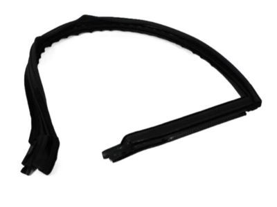 Dodge 4575891AD RUN Front Door Glass