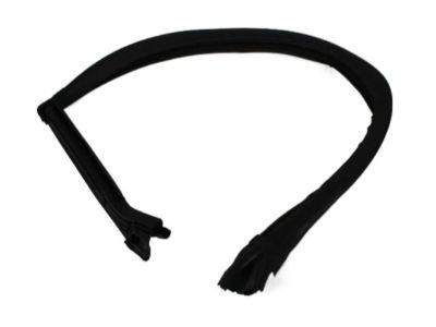 Dodge 4575891AD RUN Front Door Glass