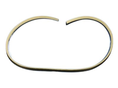 Dodge Magnum Door Seal - UW64BD1AC