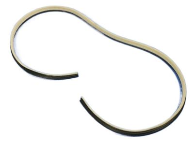 Dodge Magnum Door Seal - UW64BD1AC