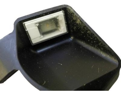 Jeep 55057408AA Puddle Lamp