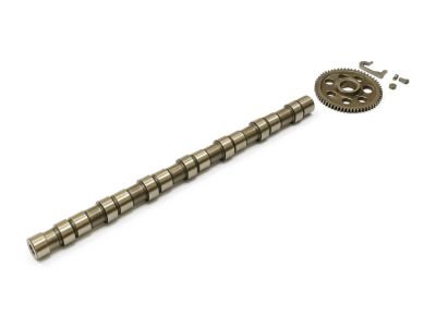 Mopar 68003407AA Camshaft Engine Includes Camshaft Gear