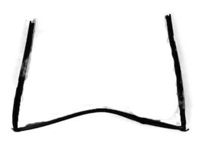 Dodge 4894928AF CHANNEL Front Door Glass