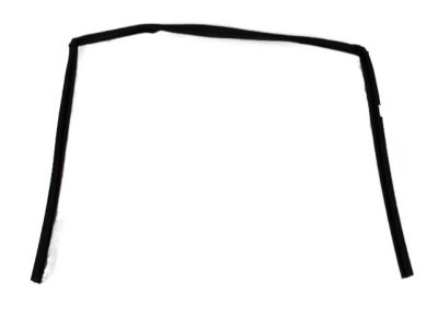 Dodge 4894928AF CHANNEL Front Door Glass