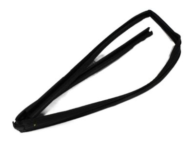 Dodge 4894928AF CHANNEL Front Door Glass