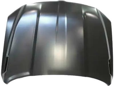 Mopar 68276294AB Hood, Front