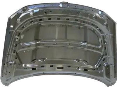 Mopar 68276294AB Hood, Front