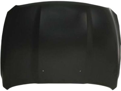 Mopar 68276294AB Hood, Front