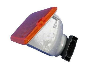 Jeep 55157032AA Parking/Turn Lamp