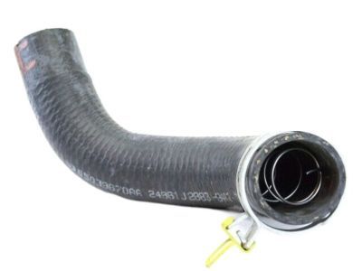 Dodge Charger Radiator Hose - 5039678AA