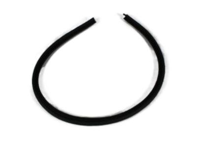 Dodge 55255886 Side Glass Seal
