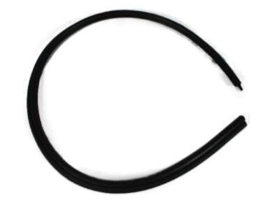 Dodge 55255886 Side Glass Seal