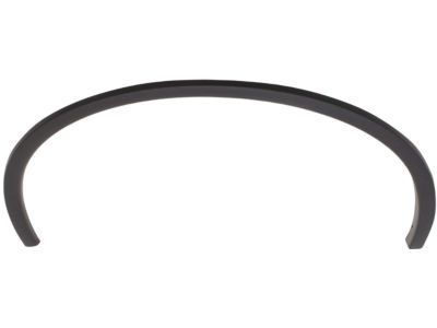 Dodge 57010620AD MOLDING Wheel Flare Front Fender