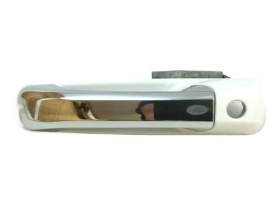 Ram 1GH291W7AD HANDLE Exterior Door