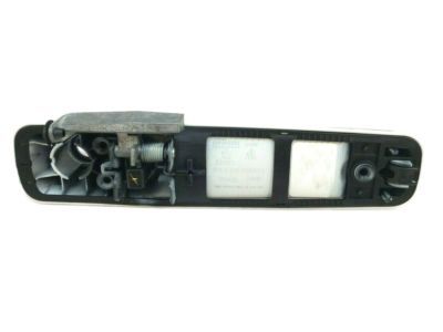 Ram 1GH291W7AD HANDLE Exterior Door