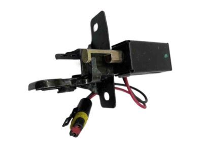 Jeep Tailgate Lock - 4882916
