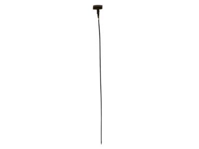 Dodge Dipstick - 53020924