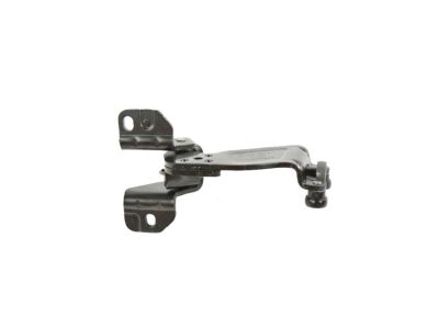 Mopar 68261807AA Hinge Sliding Door