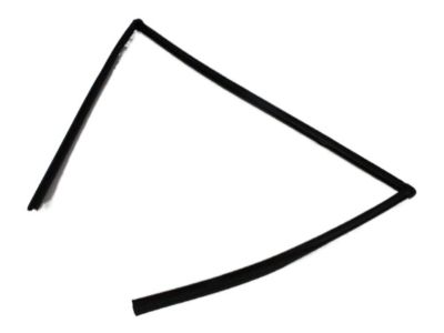 Dodge 4894929AF CHANNEL Front Door Glass