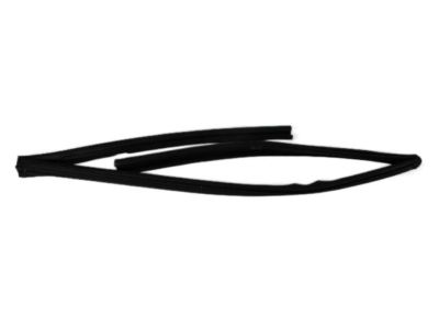 Dodge 4894929AF CHANNEL Front Door Glass