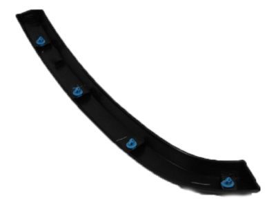 Jeep 1MP37RXFAD MOLDING Rear Door