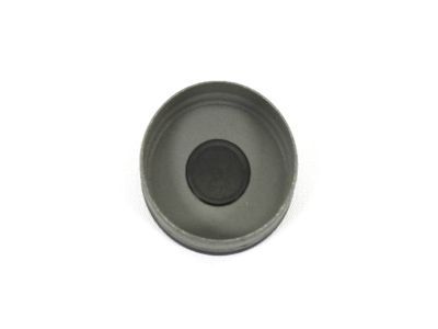 Jeep 5096861AA PLUG Expansion