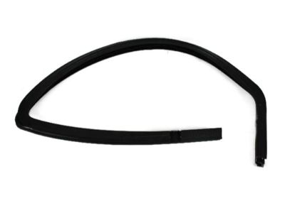 Jeep 55394053AD SEAL Front Door Glass