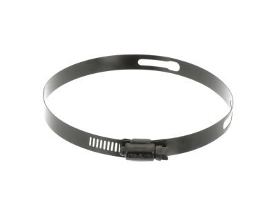 Dodge 68175280AA Hose Clamp