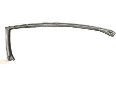 Mopar 4575890AH Running Front Door Glass