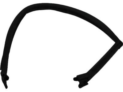 Mopar 4575890AH Running Front Door Glass