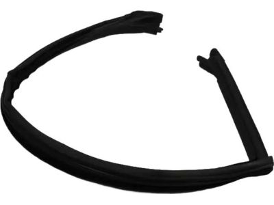 Mopar 4575890AH Running Front Door Glass