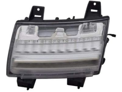 Jeep 55112884AF LAMP Park and Turn Signal